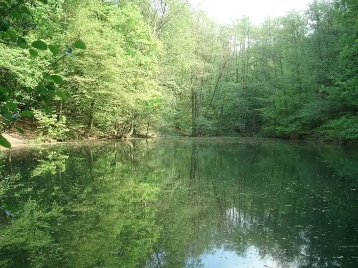 Bessenbach, Ausschnitt