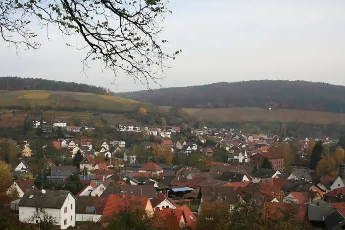 Elsenfeld, Ausschnitt
