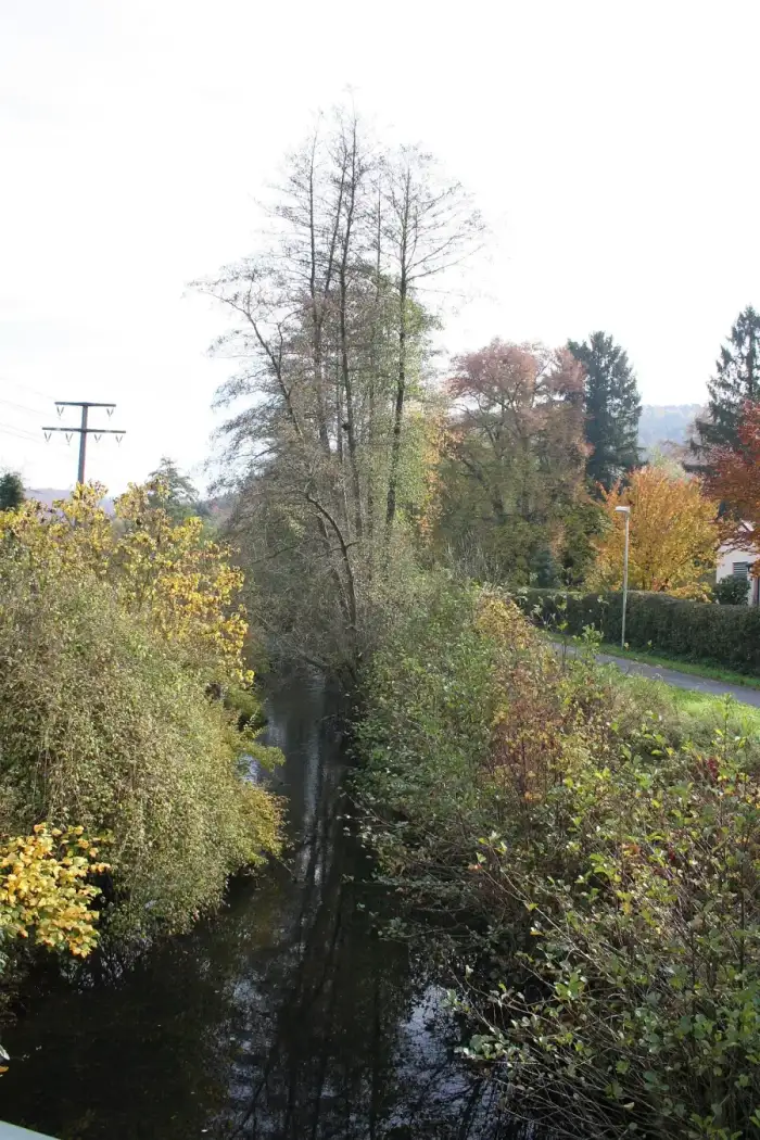 Heimbuchenthal, Ausschnitt