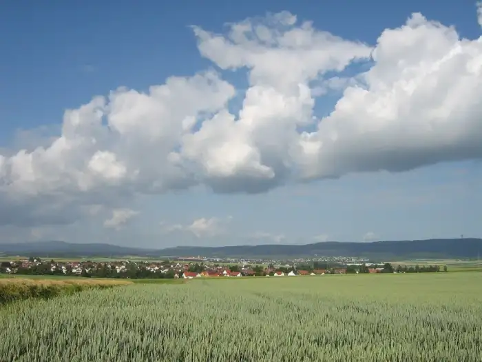 Wöllstadt, Ausschnitt